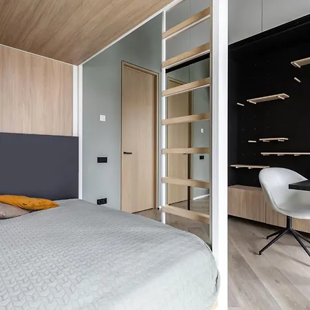 Penthouse In Old Vilnius