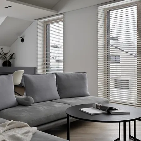 Penthouse In Old * Vilnius