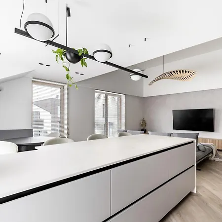 Appartement Penthouse In Old Vilnius