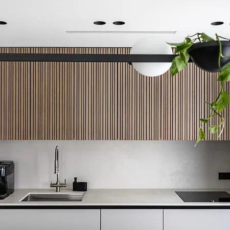 Penthouse In Old Appartement