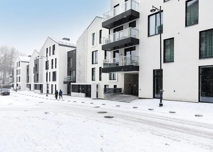 Penthouse In Old Vilnius