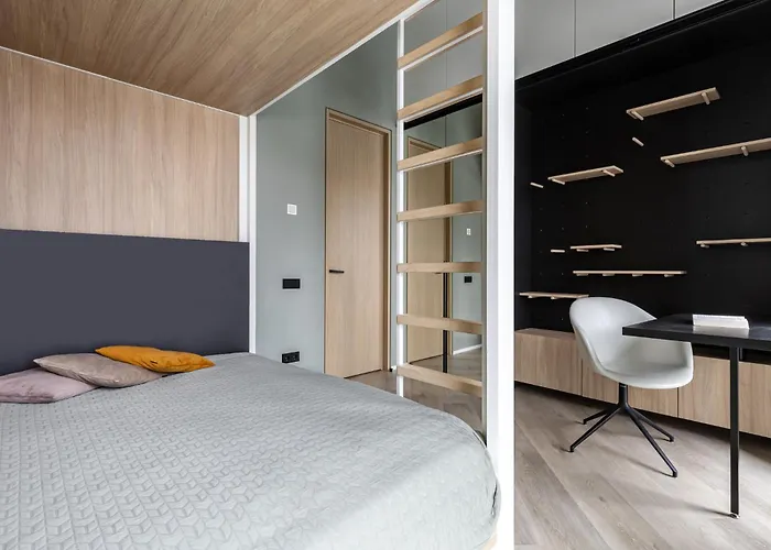 Penthouse In Old Vilnius