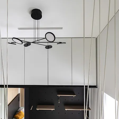 Penthouse In Old Vilnius